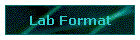 Lab Format