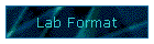 Lab Format