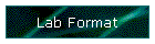 Lab Format
